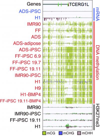 Hotspots of Aberrant Reprogramming (1 of 2)
