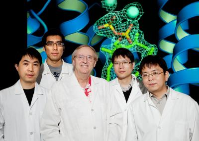 Chemists Determine Structure of CrtM