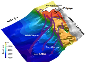 Formation of Antarctic Bottom Water in Cape Darnley