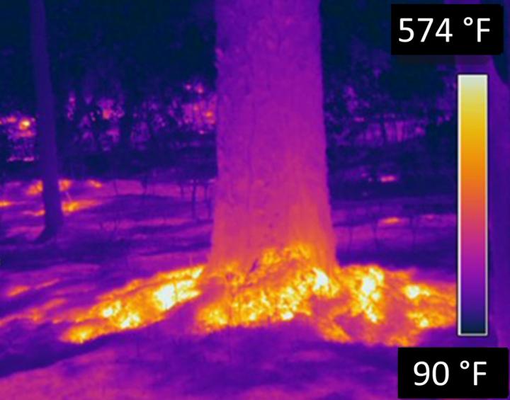 Infra Red Forest Fire
