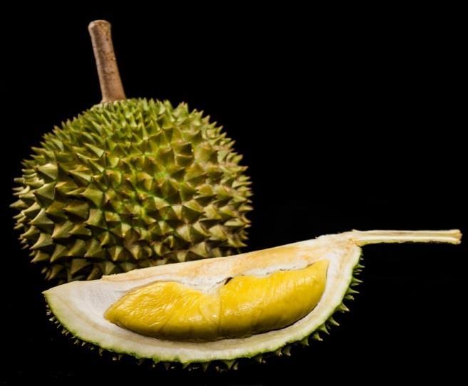 Photograph of Durian (Intact and Opened)