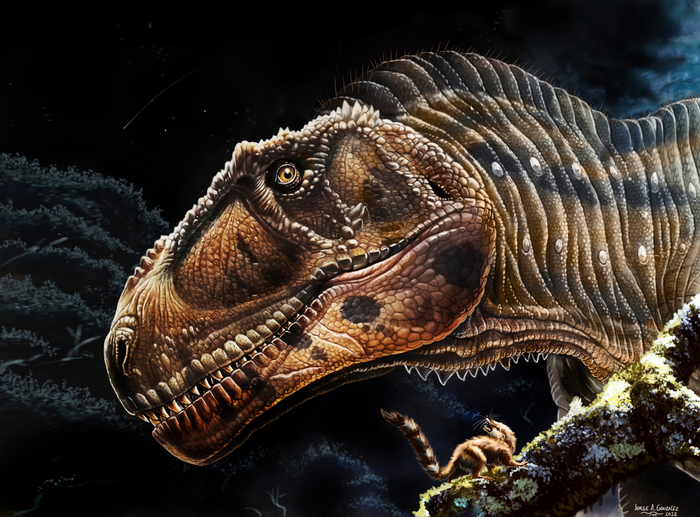 I updated this old T Rex painting with the most scientifically accurate  version to date : r/Dinosaurs