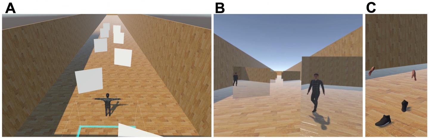 Virtual Scenes in Experiments