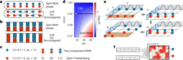 Counterflow superfluidity in a two-component Mott insulator