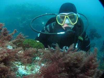 Surveying Invasive Seaweeds in Galapagos