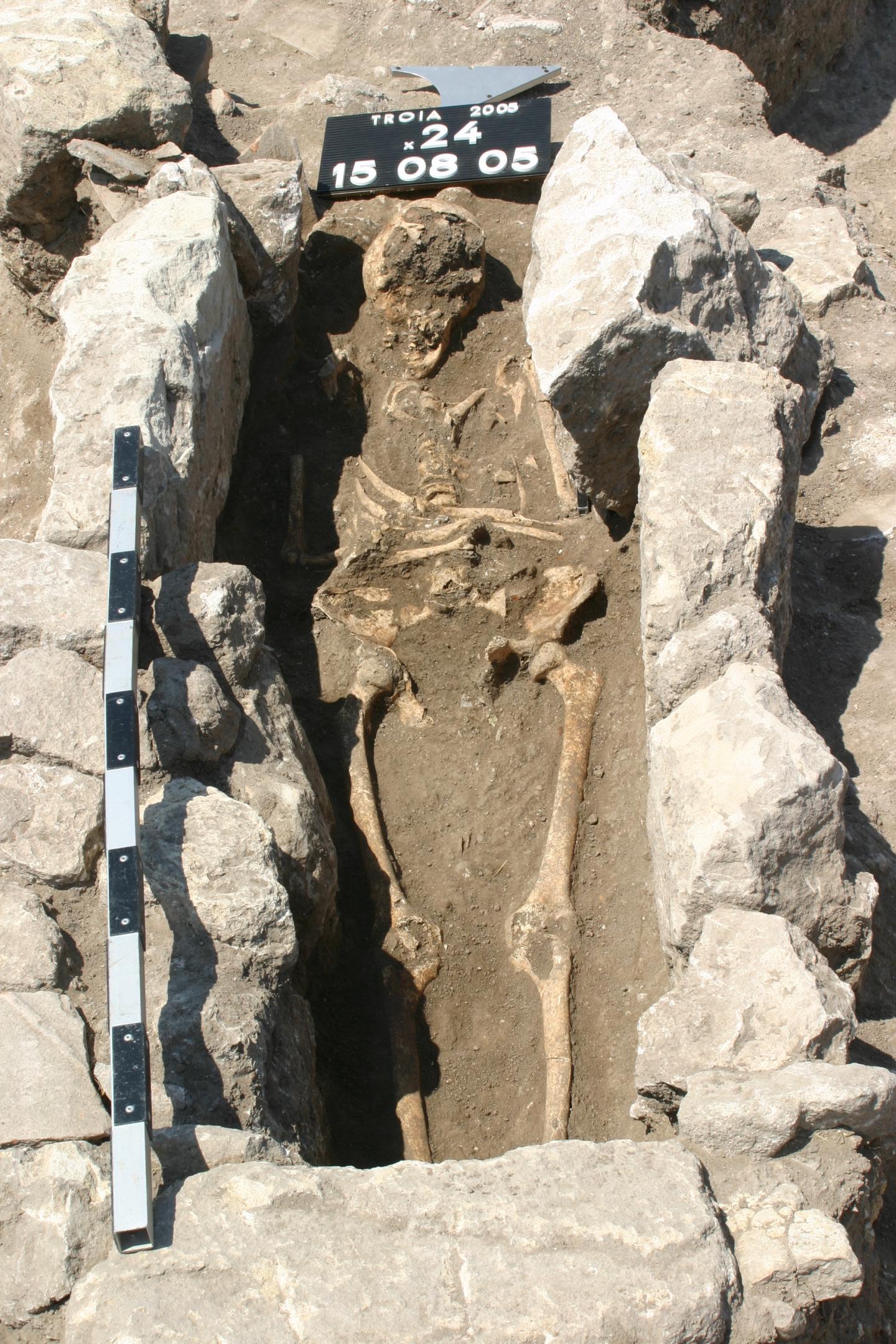 Ancient Skeleton
