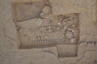 Indus Valley Civilization Skeleton
