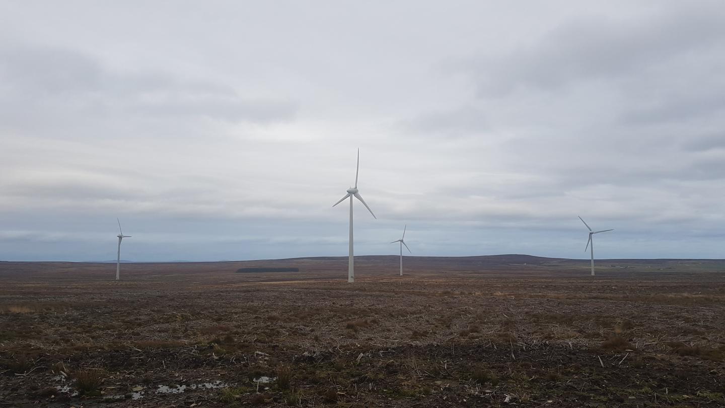 Wind Farm in Caithness