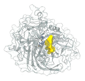 Three-dimension model of plant LACCASE