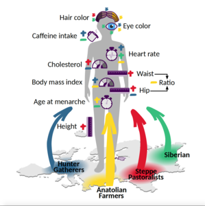 Marnetto(2022)_Figure 1