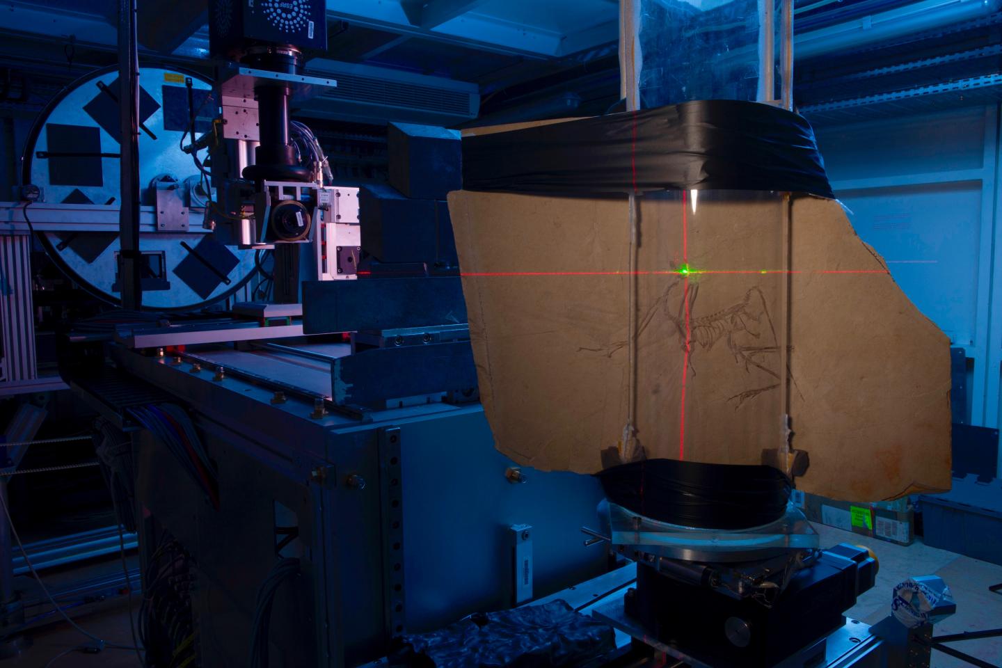 The Munich Specimen of <i>Archaeopteryx</i> at Beamline ID19 at the ESRF