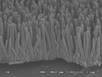 Nanorods Growing on Disk