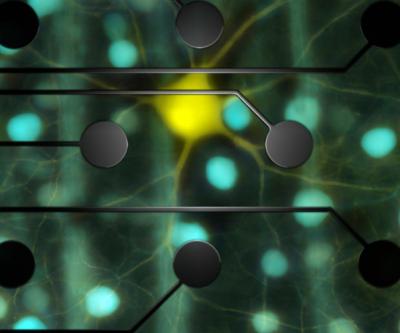 From Eye to Brain (2 of 3)