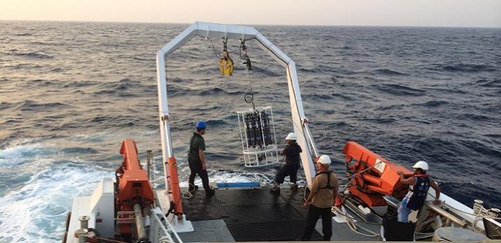 Sampling activity on the Red Sea