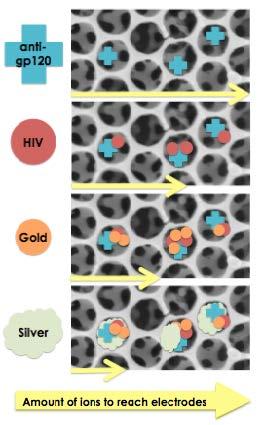 First Place Winner, Viral Diagnostic Technology