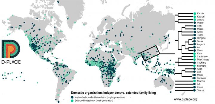Norms of Domestic Organization among the World's Cultural Groups