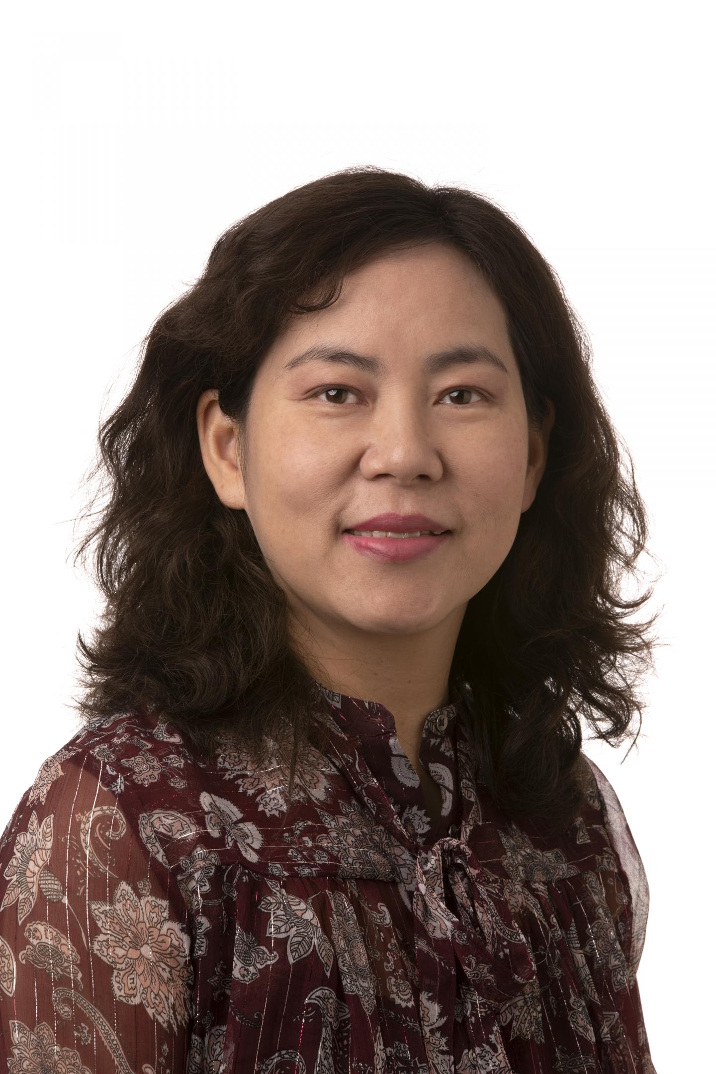 Xiaowei Dong, Associate Professor and P1 Curriculum Director at HSC College of Pharmacy