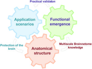 A blueprint of the closed-loop Digital Twin Brain.