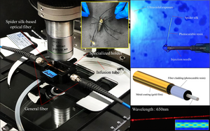 Biosensor based on spider silk