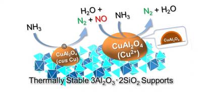 The Newly Developed Catalyst and NH<sub>3</sub> Combustion Reaction