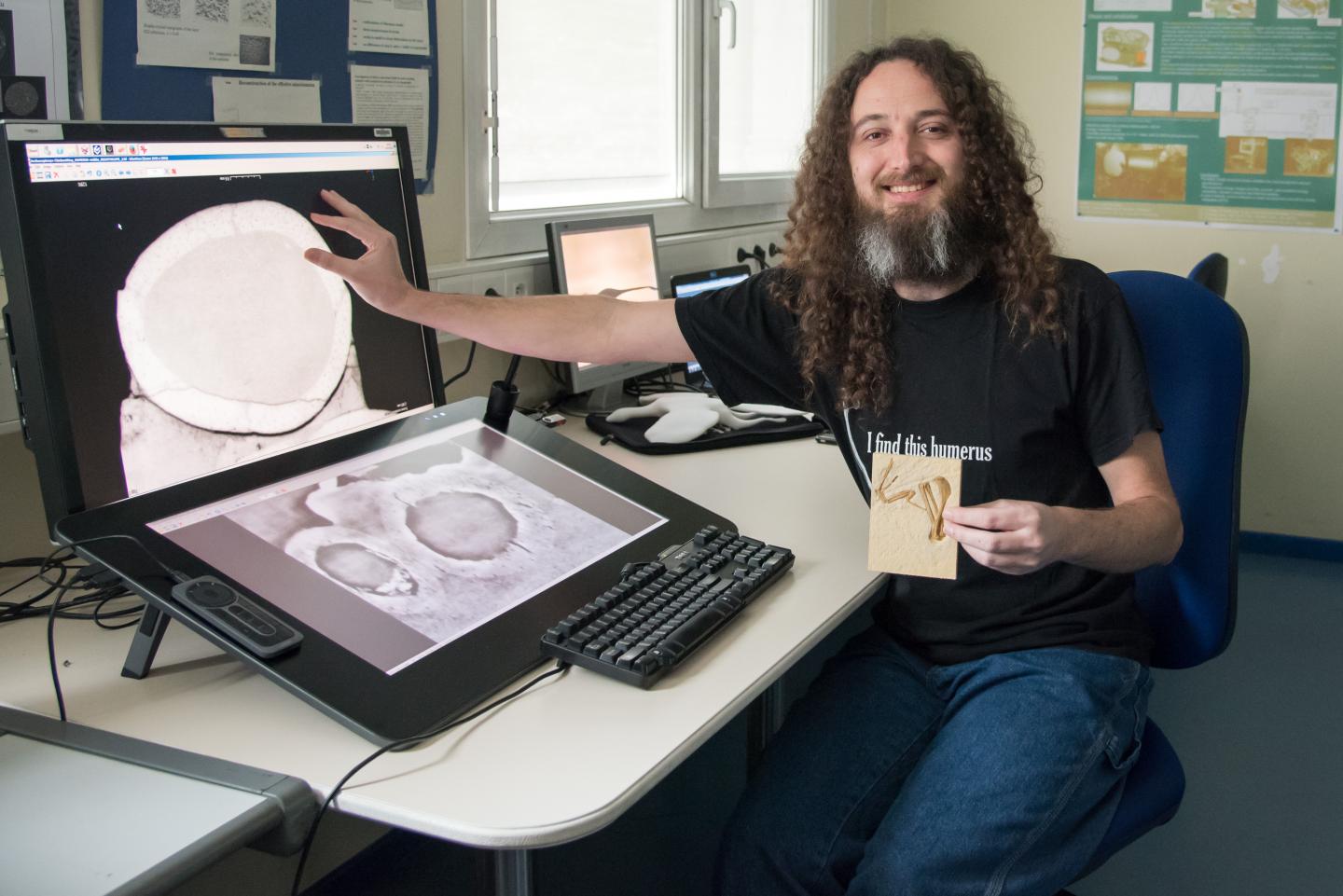 Dennis Voeten Analyzing the <i>Archaeopteryx</i>'s Bones