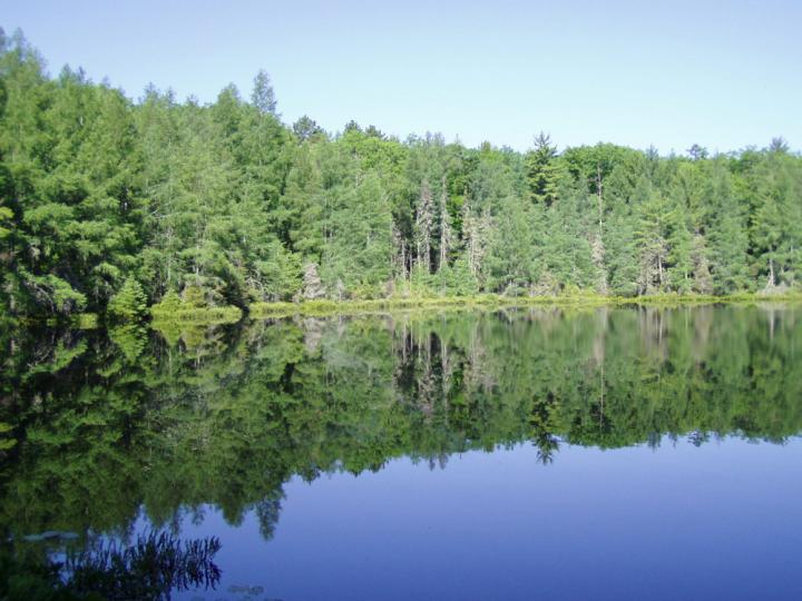 Trout Bog Lake in Wisconsin