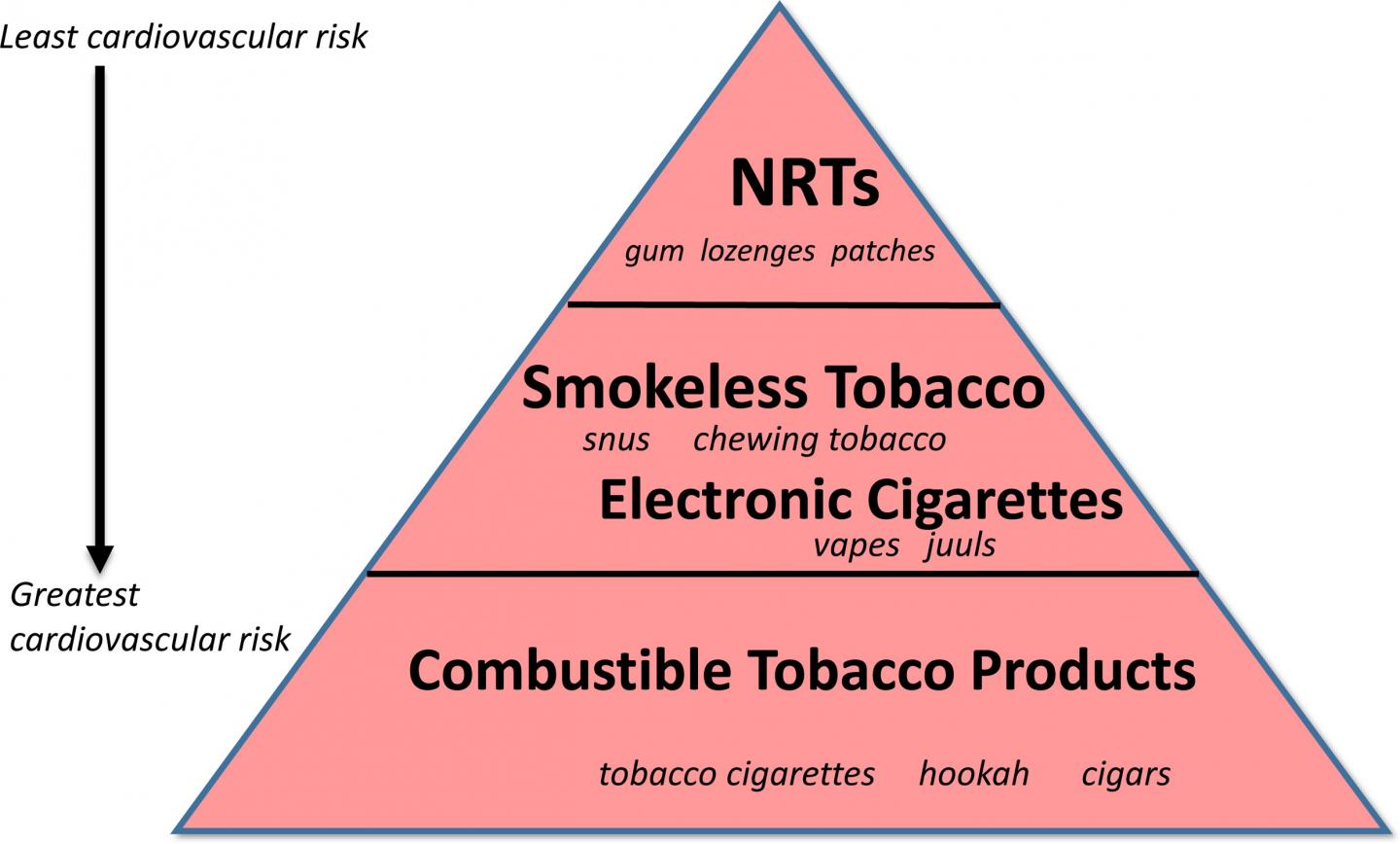 The Pyramid of Cardiovascular Risk