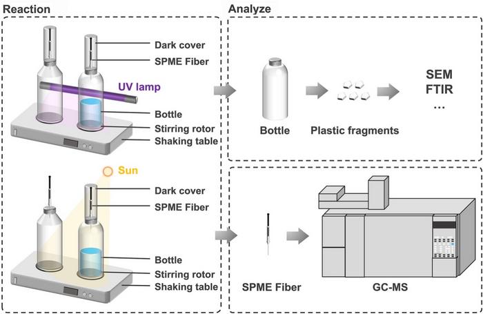 Experimental system diagram.