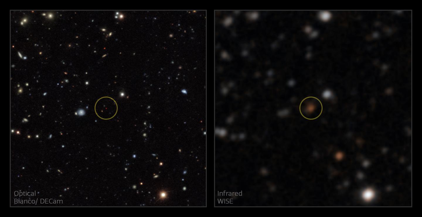 A Backyard Worlds discovery