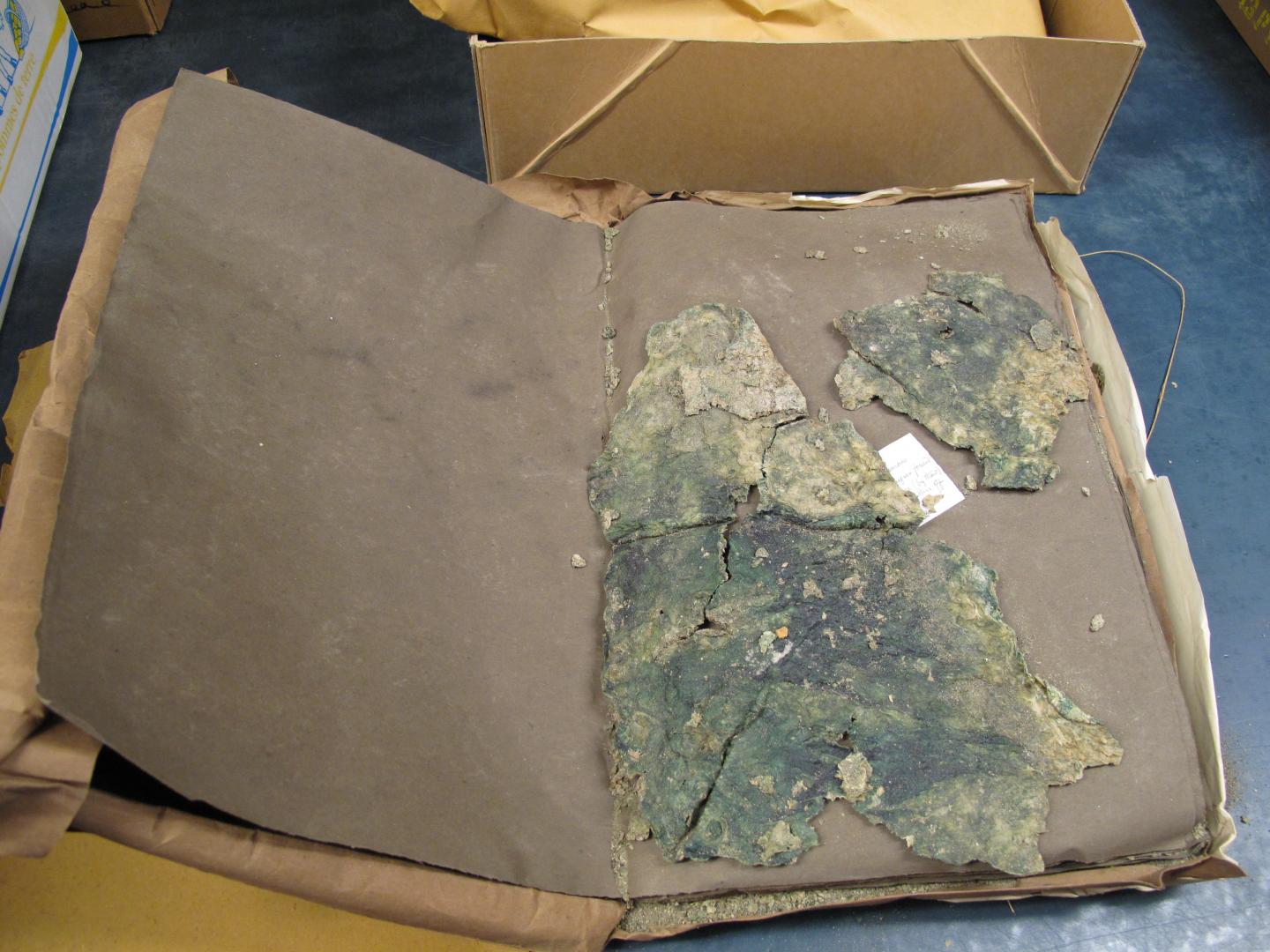 Image 1 Herbarium Specimen of Freshwater Cyanobacterial