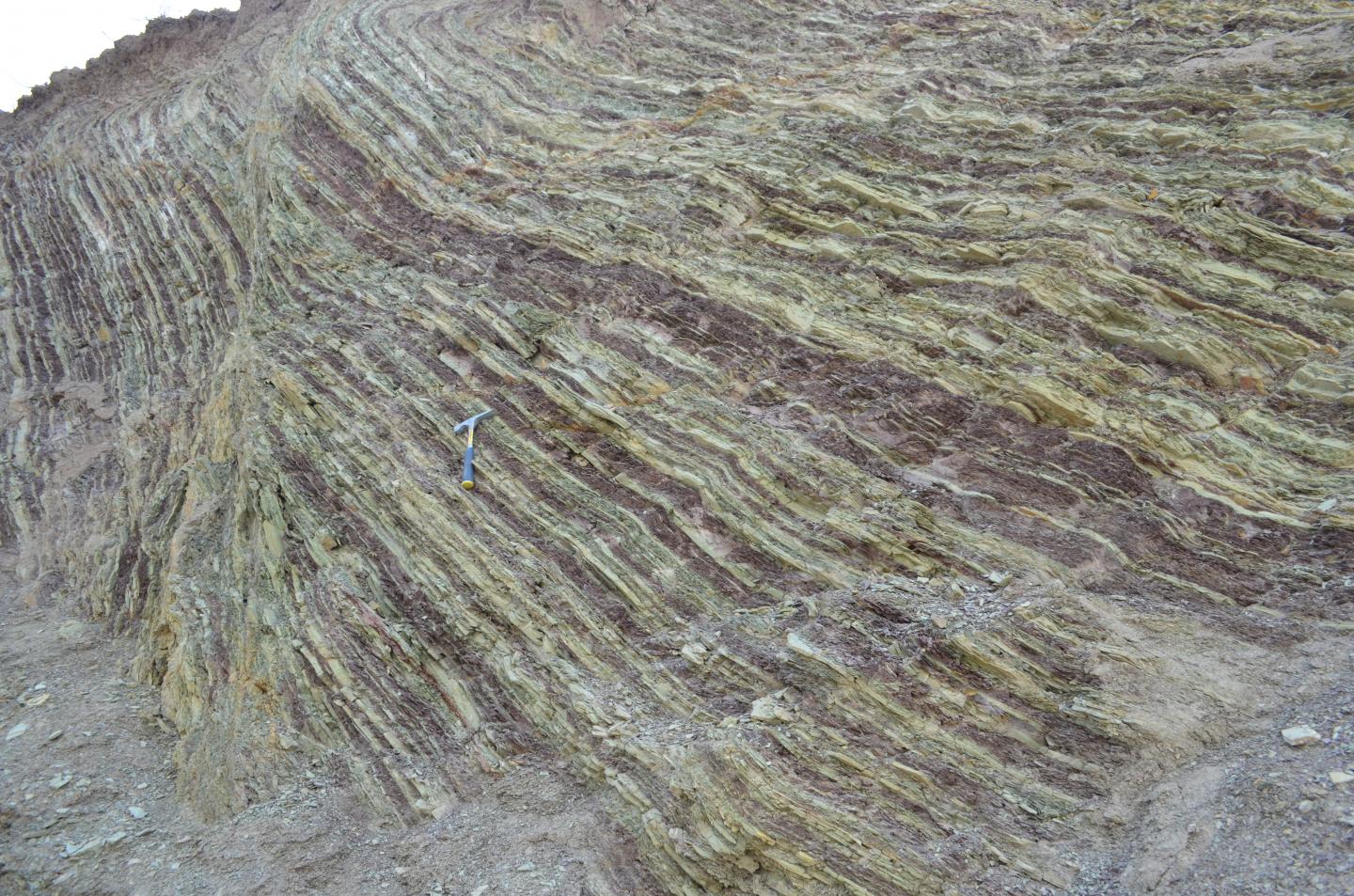 Photo of unit 4 of the Xiamaling Formation