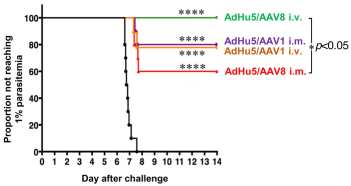 Figure2