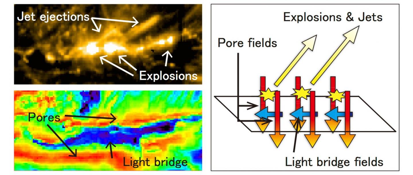 Observational Data Analysis of the Light Bridge
