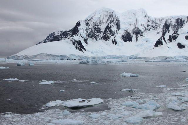 Poor Outlook for Biodiversity in Antarctica