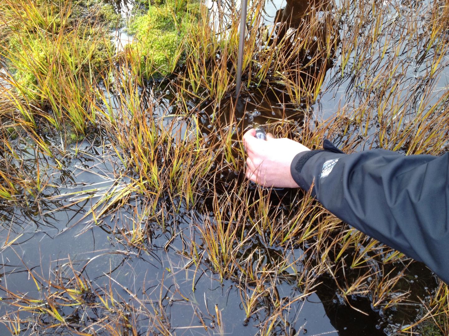 Gas Bubbles, Barrow Environmental Observatory