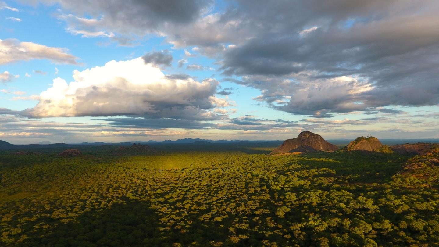 Niassa Landscape