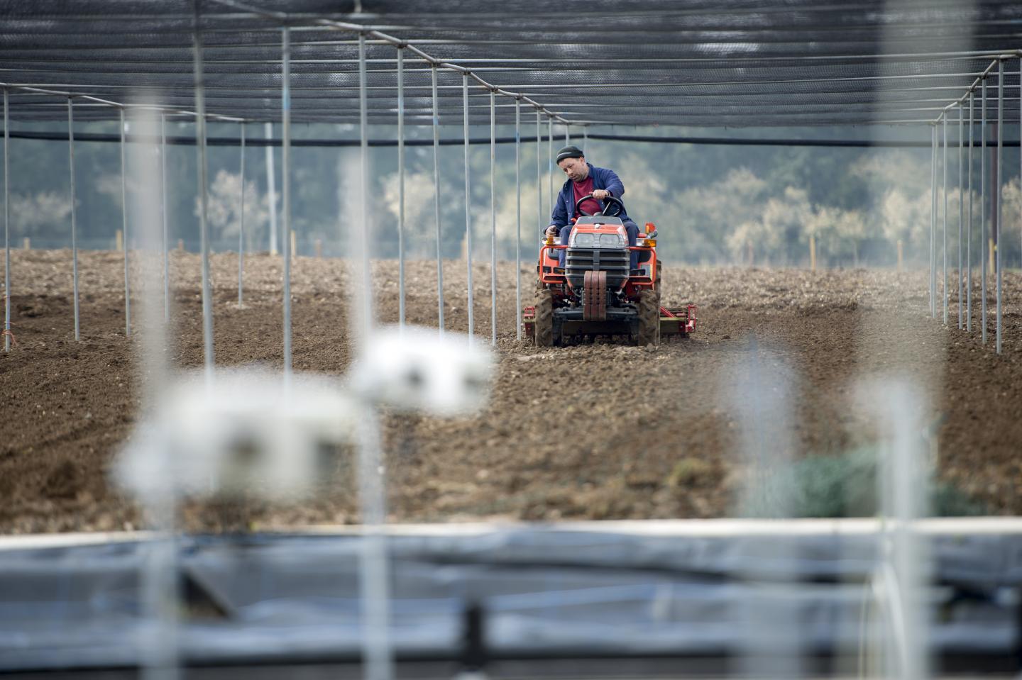 Crop Analysis Technology (2 of 2)