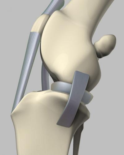 Biological Joint Technology