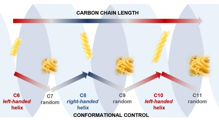 Conformation (Shape) of Our Carbon Chains
