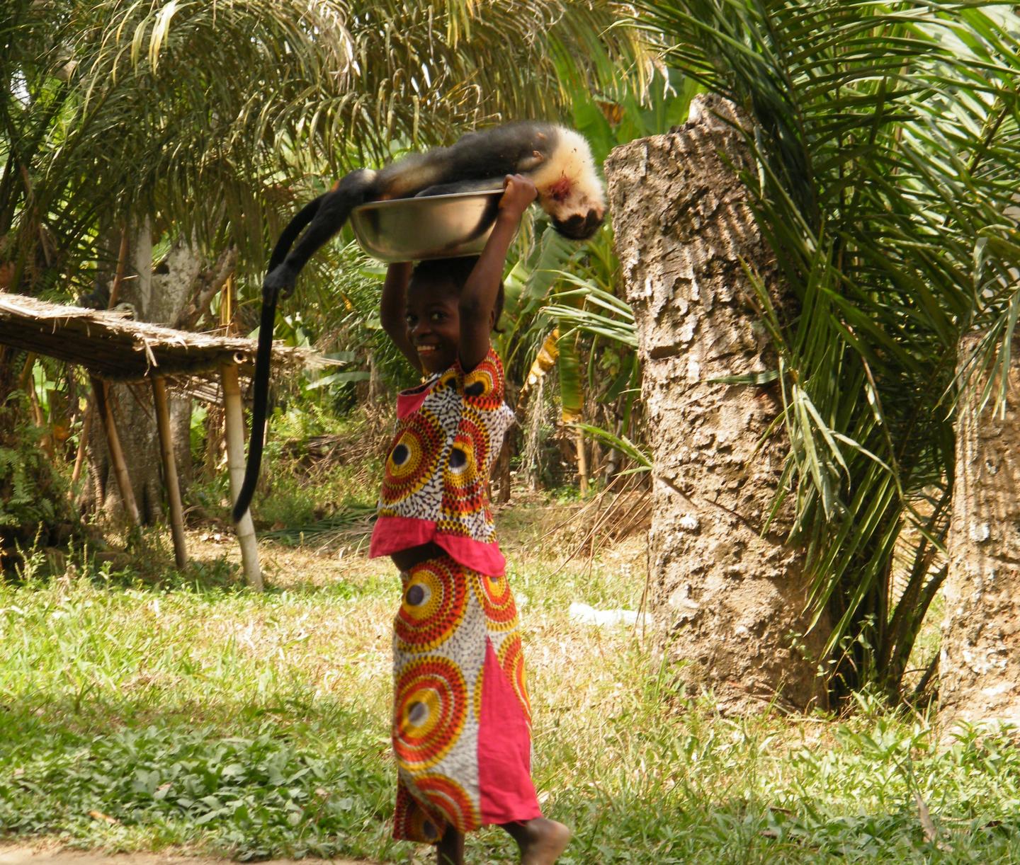 Bushmeat Trade