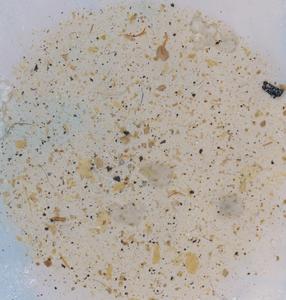 Microplastics extracted from agricultural soil