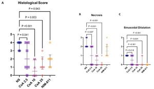 THE EFFECT OF CYCLOSPORINE AND ITS ANALOG NIM-811 ON TISSUE INJURY