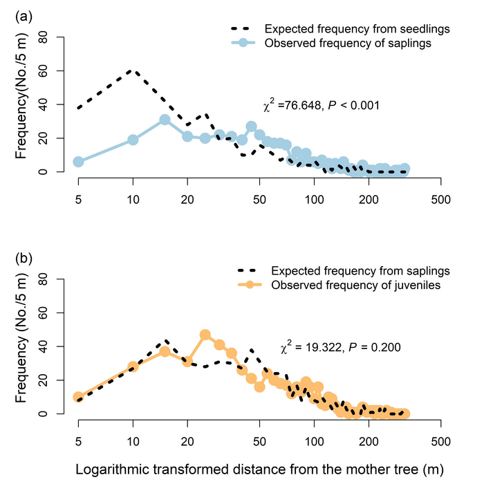 Recruitment pattern shifts across life stages for offspring of Castanopsis eyrei.