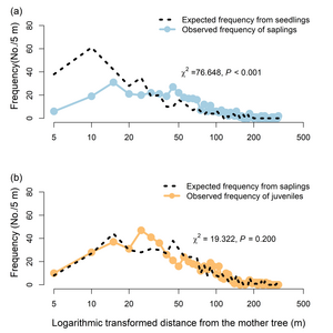 Recruitment pattern shifts across life stages for offspring of Castanopsis eyrei.