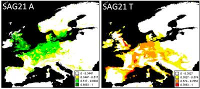 Climate, Genome and 'Home Court Advantage'