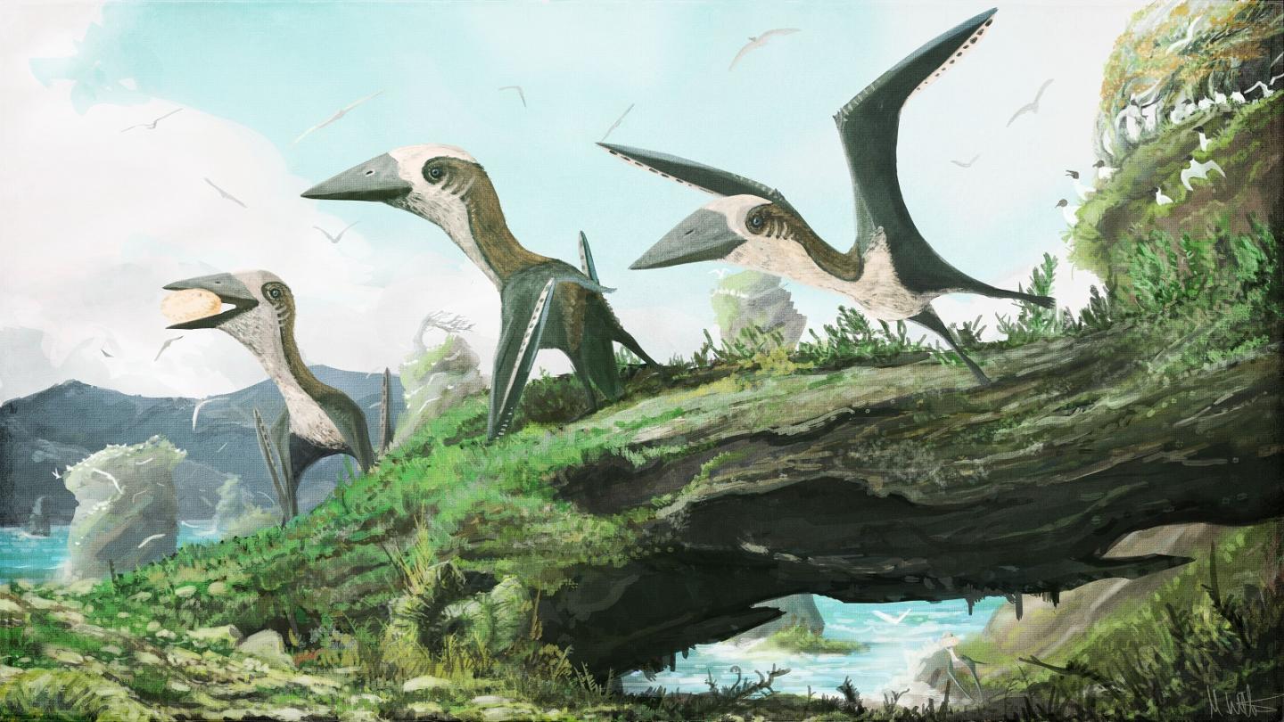 Artist Impression of the Small-Bodied, Late Cretaceous Azhdarchoid Pterosaur