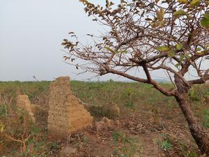 Ruins of a mud brick structure near the town of Lusanga along the Kwilu River