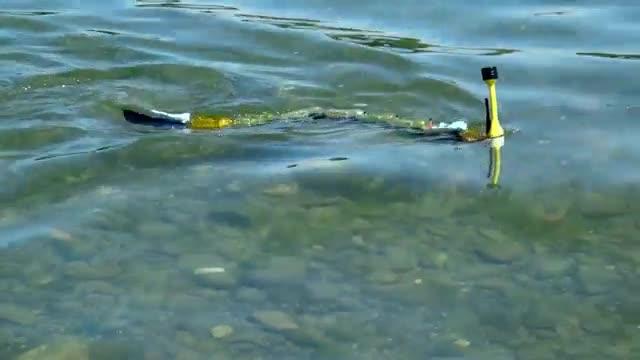 Pinpointing Sources of Water Pollution with a Robotic Eel 2