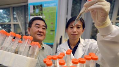 Xingming Shi, Medical College of Georgia at Georgia Regents University