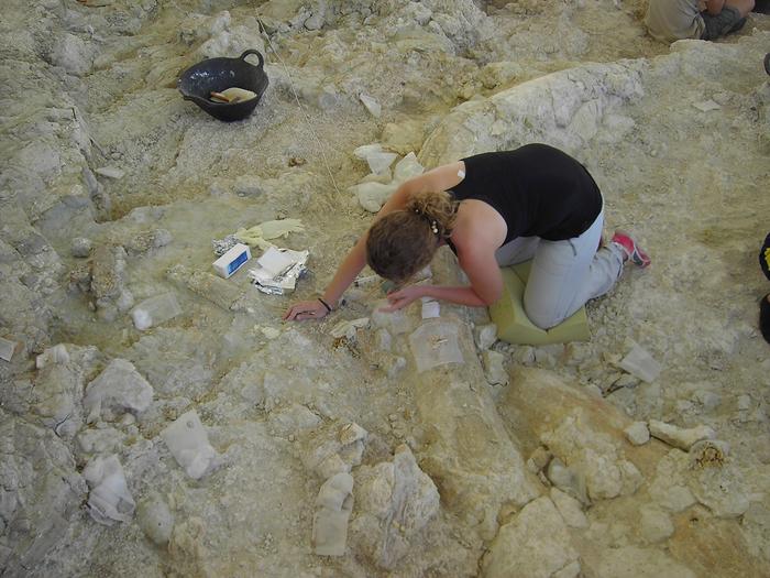 UMA scientists find a natural quicksand trap dated to more than one million years ago in the ‘elephant graveyard’ of Orce